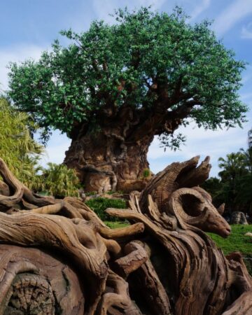 Animal Kingdom